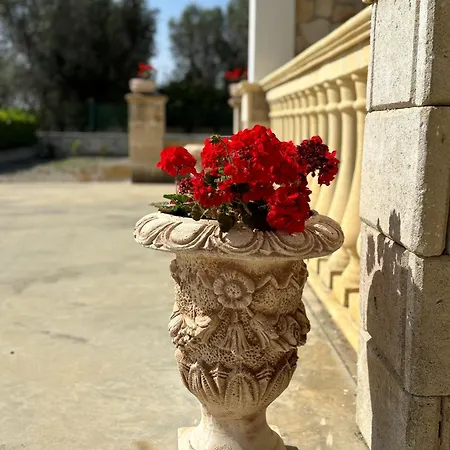 Villa Vita *